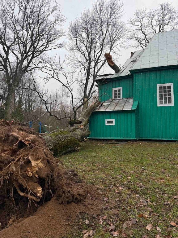  В Каменецком районе поваленное ветром дерево повредило деревянную церковь — памятник народного зодчества 
